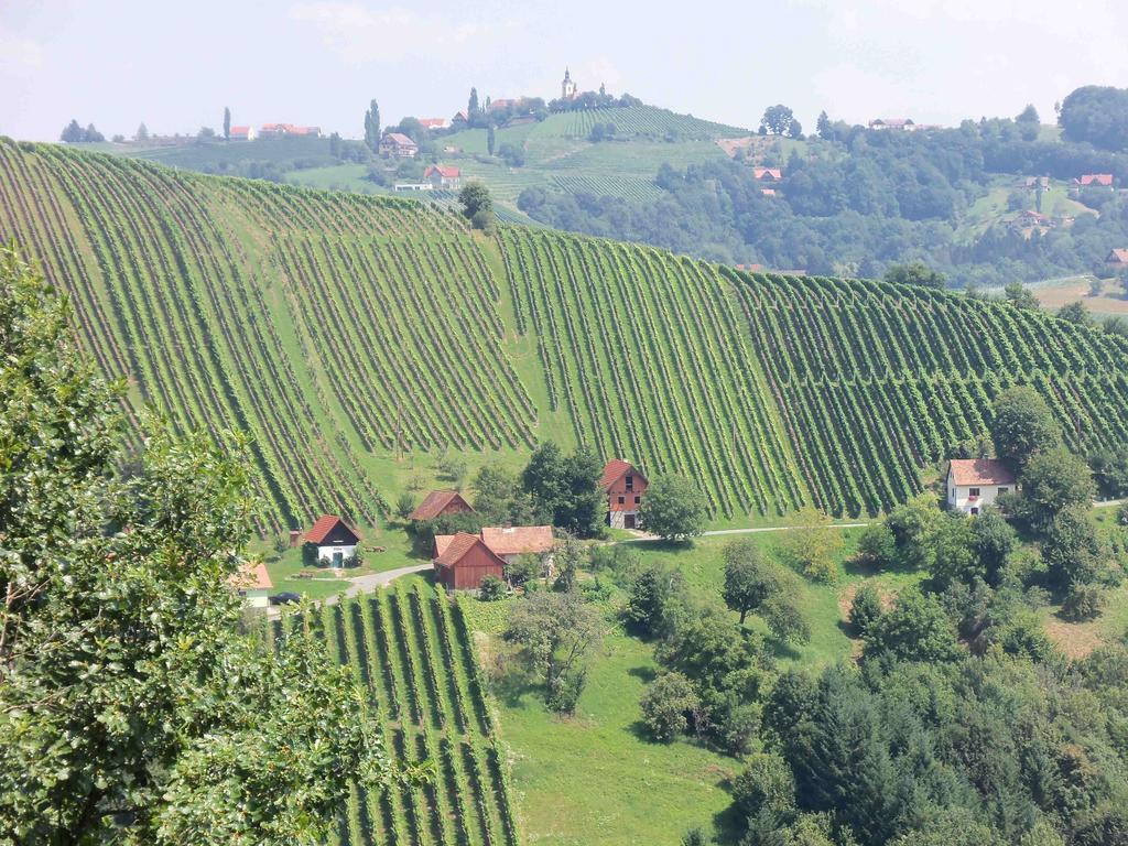 Obstbau Und Gaestezimmer Stani Kitzeck im Sausal Zewnętrze zdjęcie